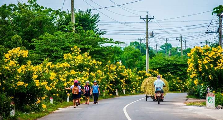 Mô hình Tổ tự quản bảo vệ môi trường gắn với tuyến đường kiểu mẫu Ấp Thọ An.JPG