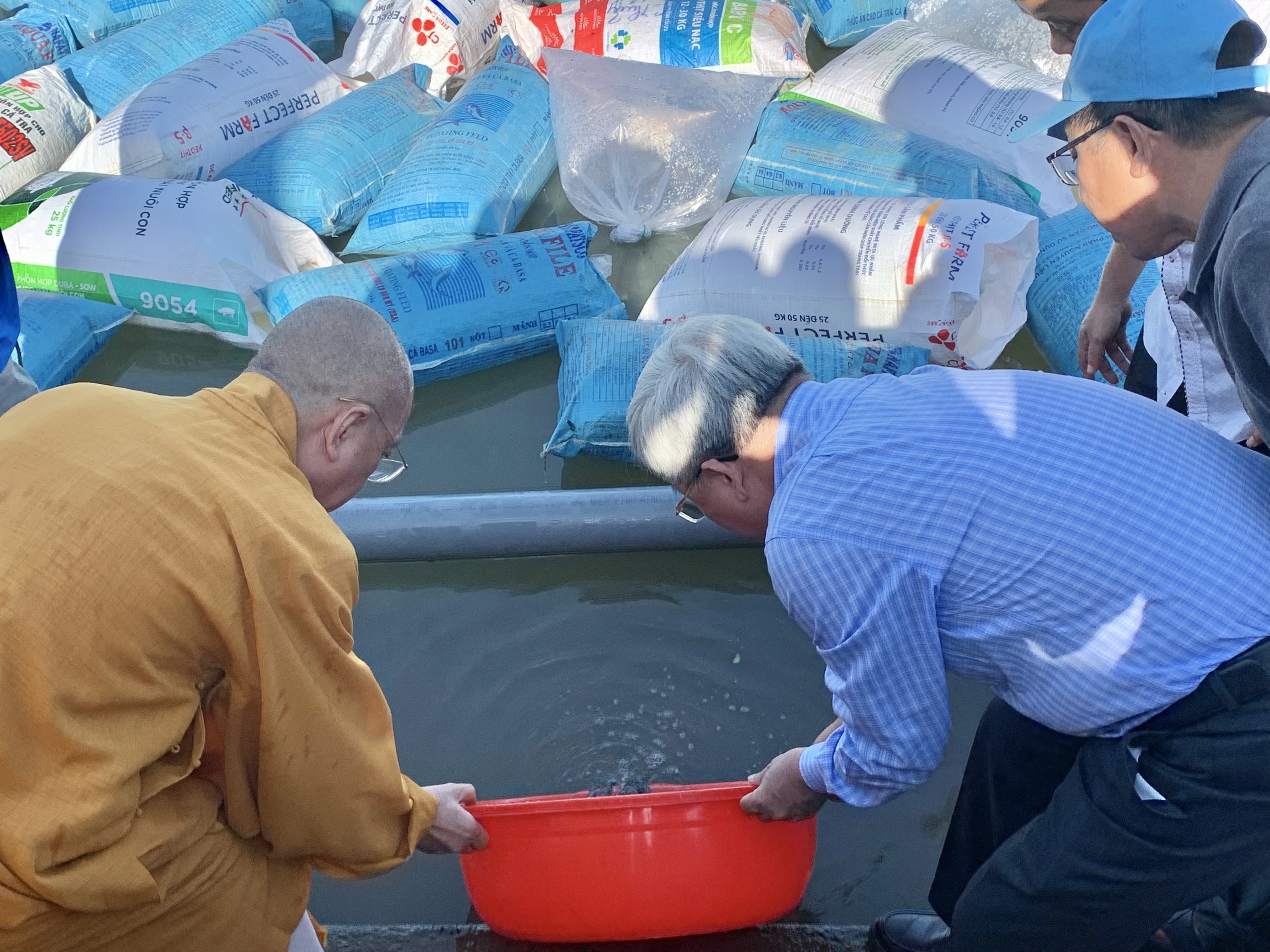 h a Quang tha ca.jpg