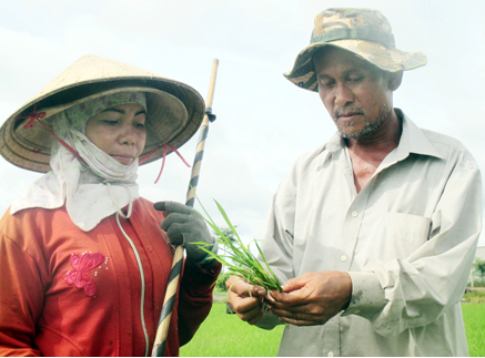 dan tôc mai văn lượng.png