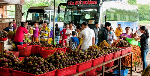4,Long Khánh mùa trái chín.ảnh PhuongHien.jpg