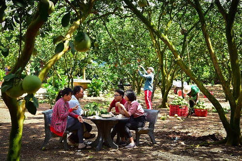 8.Duli5ch vườn LK. ảnh Trương Phát.jpg
