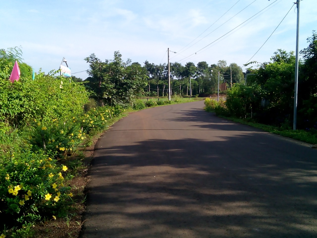 b405f5454701a15ff810.jpg