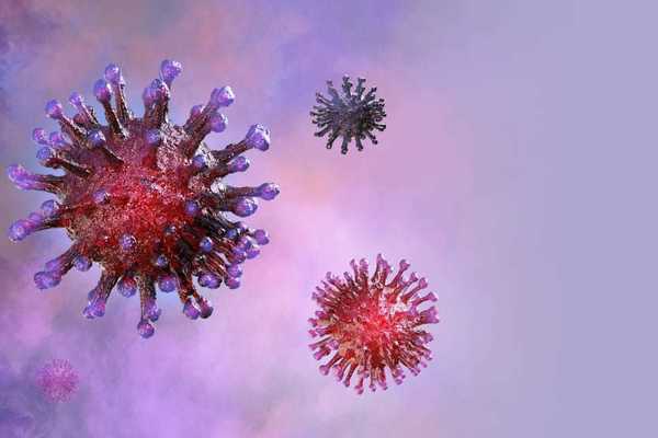 who-cap-nhat-21-cau-hoi-dap-moi-nhat-ve-virus-corona.jpg